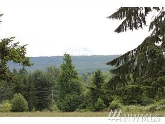 30824 144th Ave - Photo 1