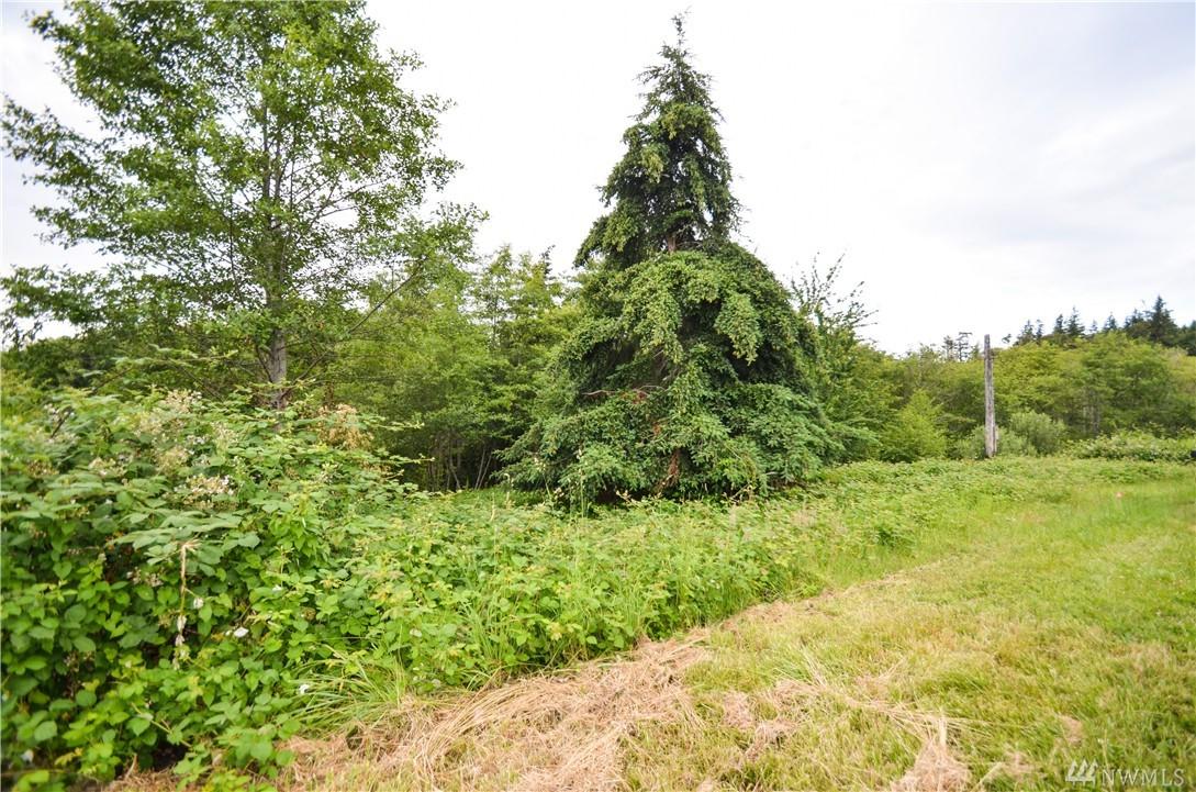 0 Lot 12 Westmoor Place - Photo 1