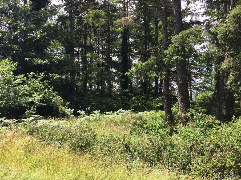 399 Dolphin Ave - Photo 1