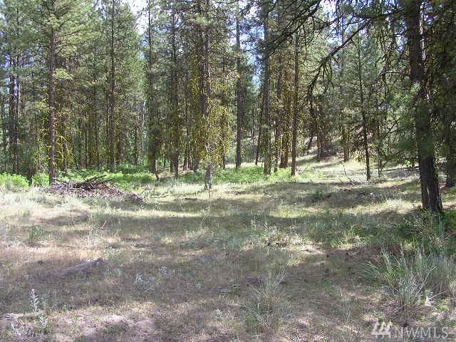 0-Lot 19 Doe Lane - Photo 1