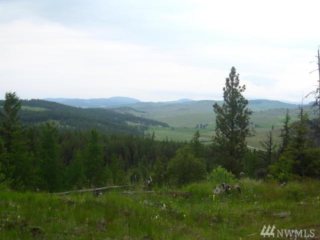 0 Wilcox Mountain Rd - Photo 1