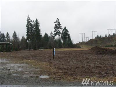 41-TR Hulbert Rd - Photo 1