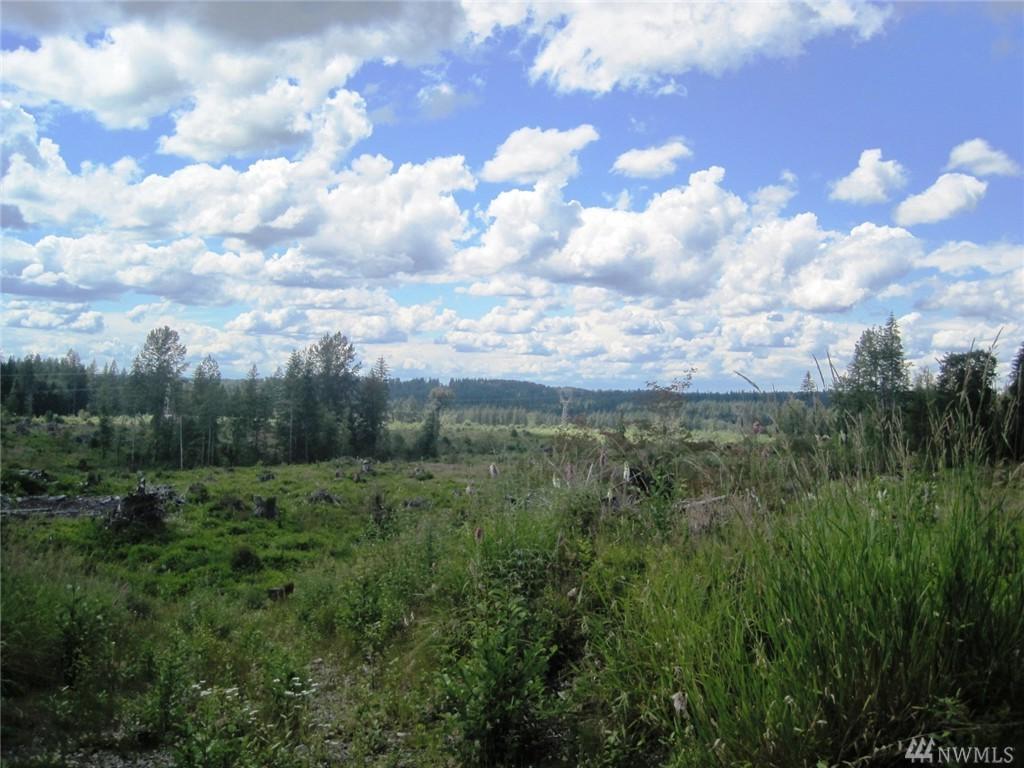 110-XX 344th Ave - Photo 1