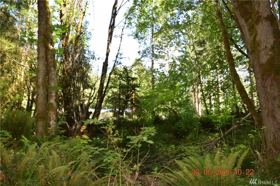0 Pleasant Forest Rd - Photo 1