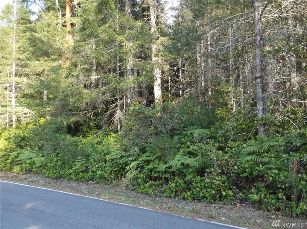 0-Lot 20 Hurd Road - Photo 1