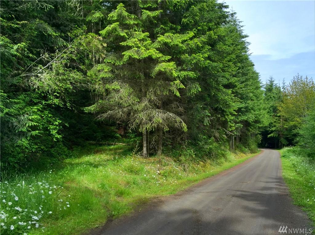 0 Broad View - Photo 1