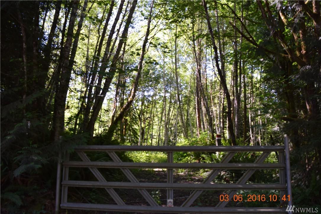 0 Pleasant Forest Rd - Photo 1