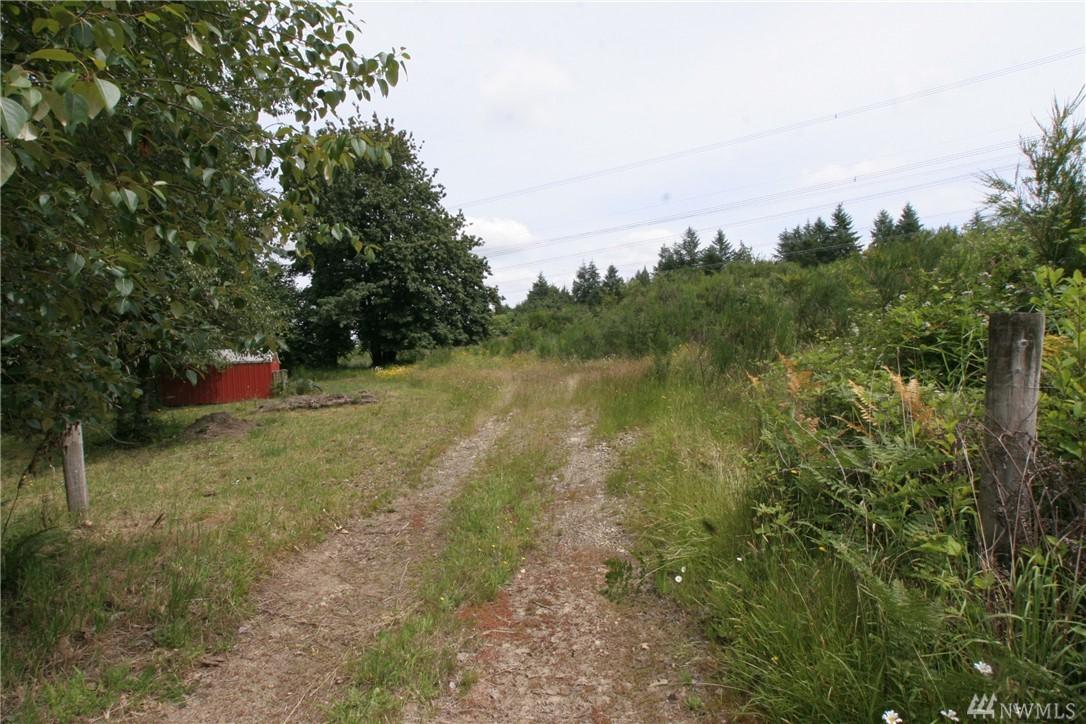 12200 Shadowbrook Dr - Photo 1