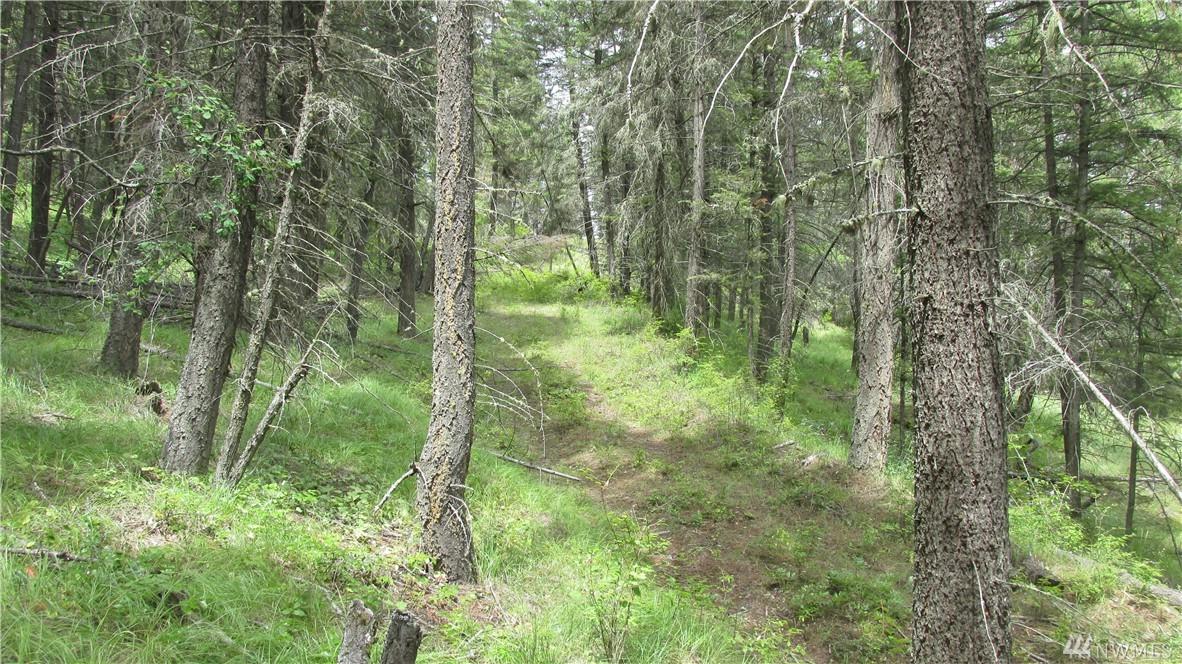 0-TBD Hwy 21 - Photo 1