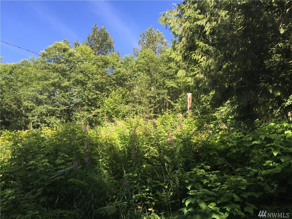 13009 Janicki Rd - Photo 1