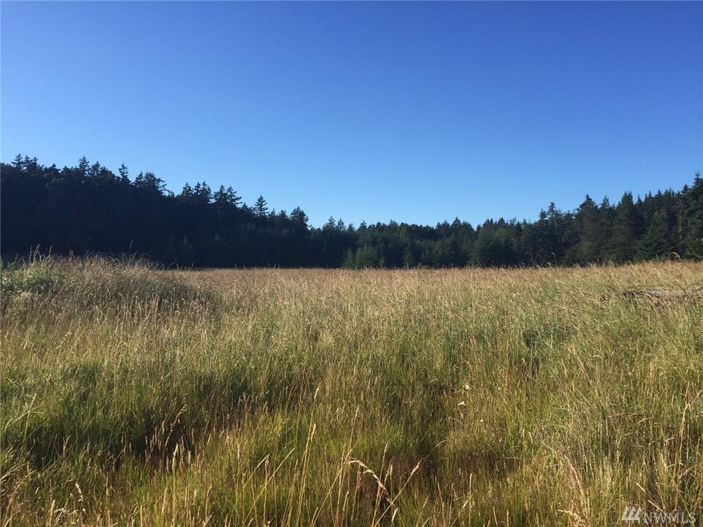 0-Lot 12 Forest Acres Lane - Photo 1