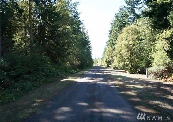 999 Raintree Lane - Photo 1