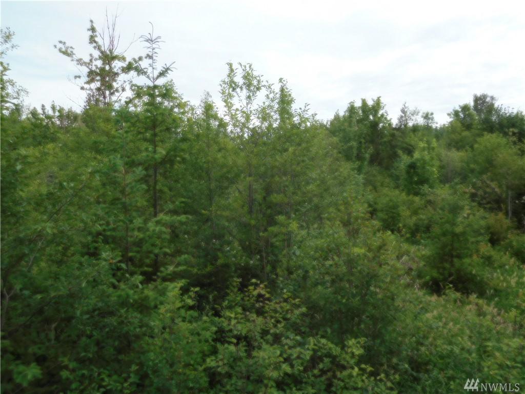 133 Jylha Rd - Photo 1