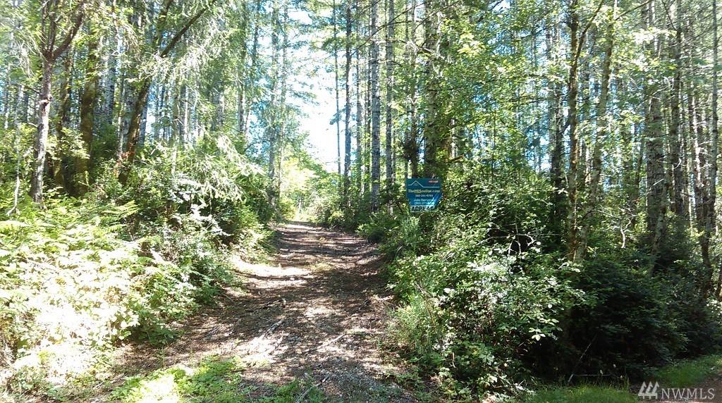 291 Tahuya Valley Dr - Photo 1