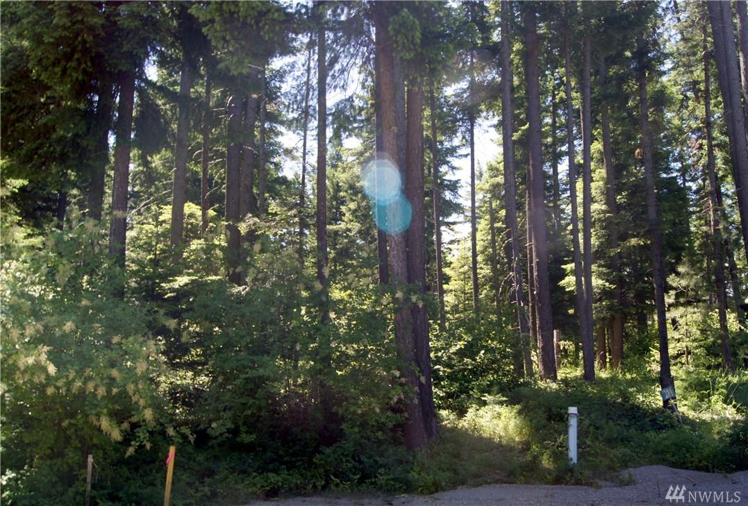 1401 Snowberry Lp - Photo 1