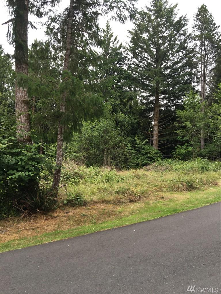 9620 Lookout - Photo 1