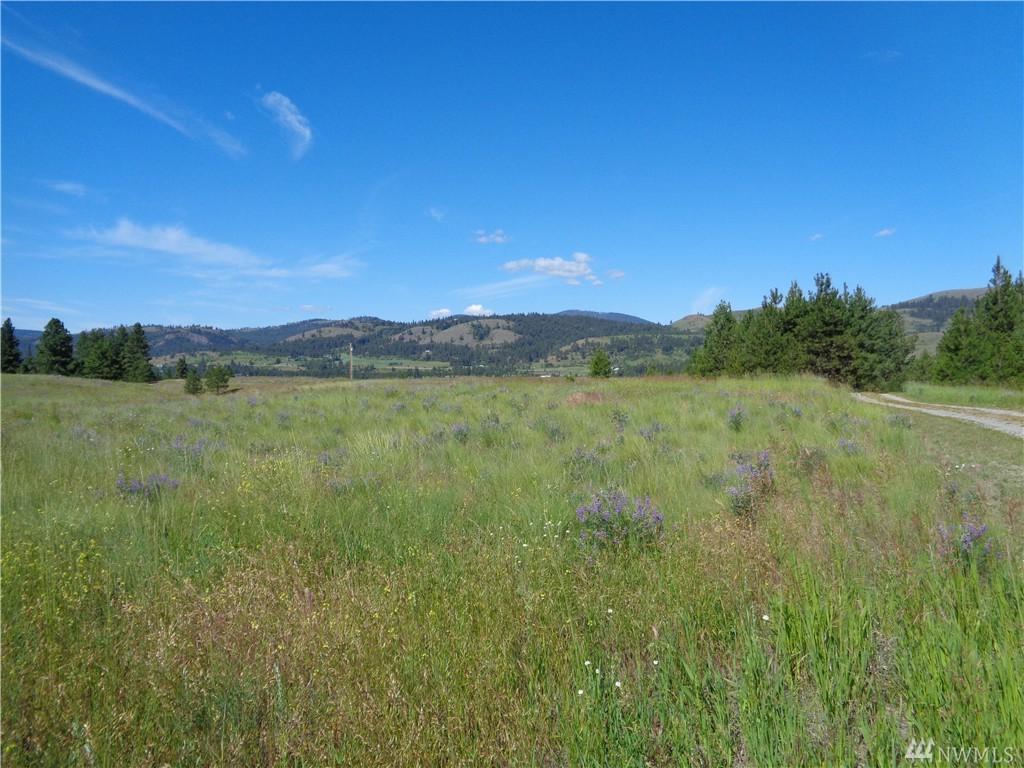 0 Hwy 21 - Photo 1