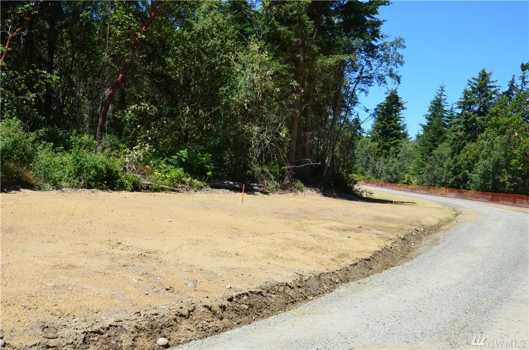 5 Rainier - Photo 1
