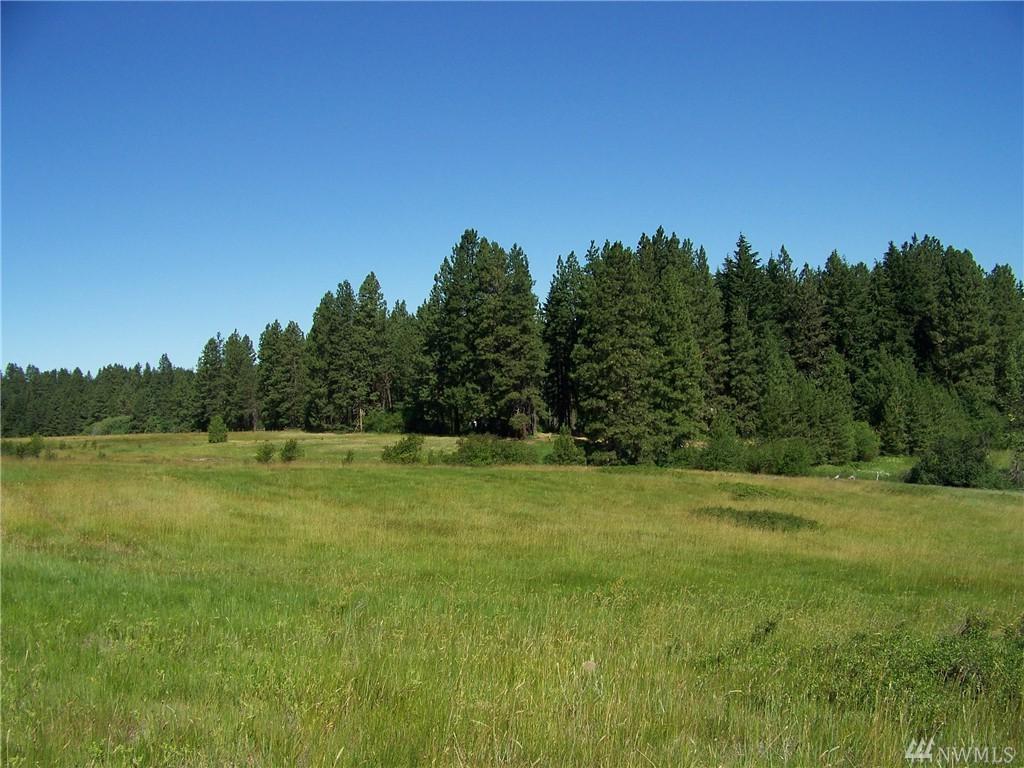 0-Lot 1 Upper Peoh Point Rd - Photo 1