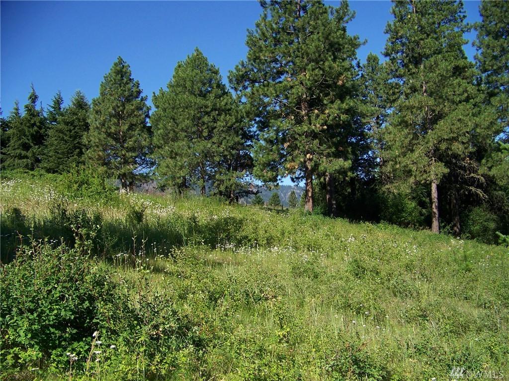 0-Lot 1XX Upper Peoh Point Rd - Photo 1