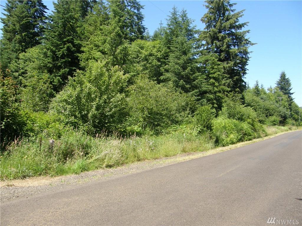 0-2XX Wishkah Rd - Photo 1