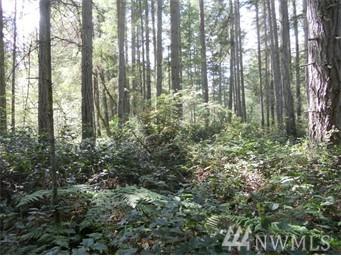 10726 Olympic Place - Photo 1