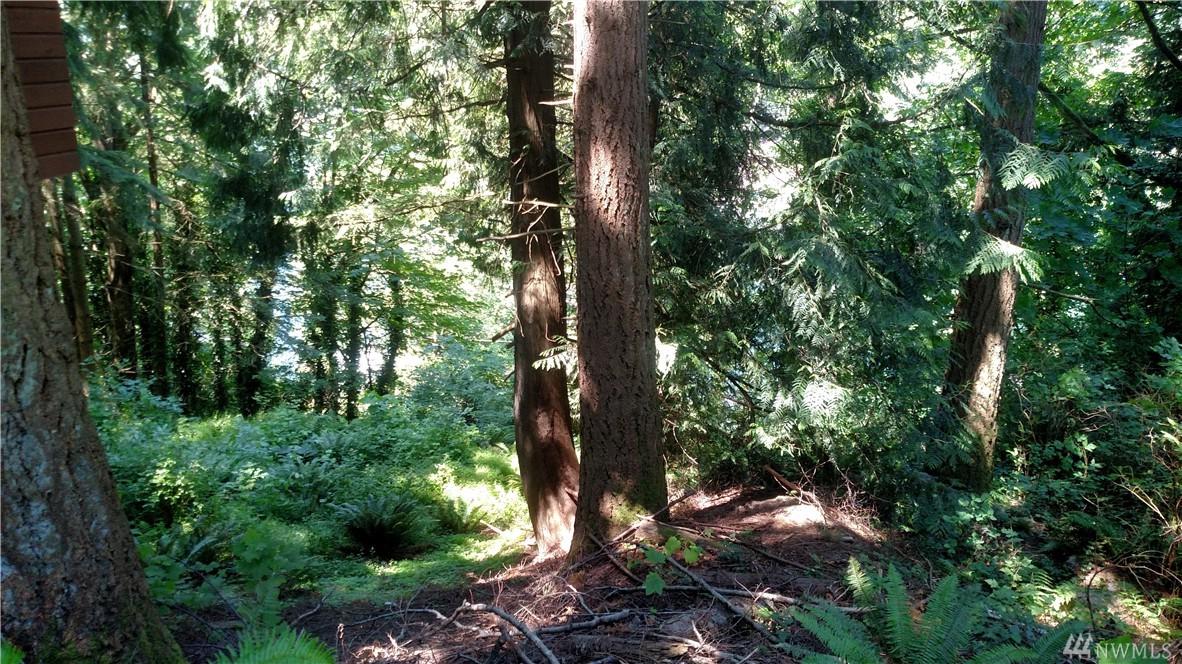 1805 Emerald Lake Wy - Photo 1