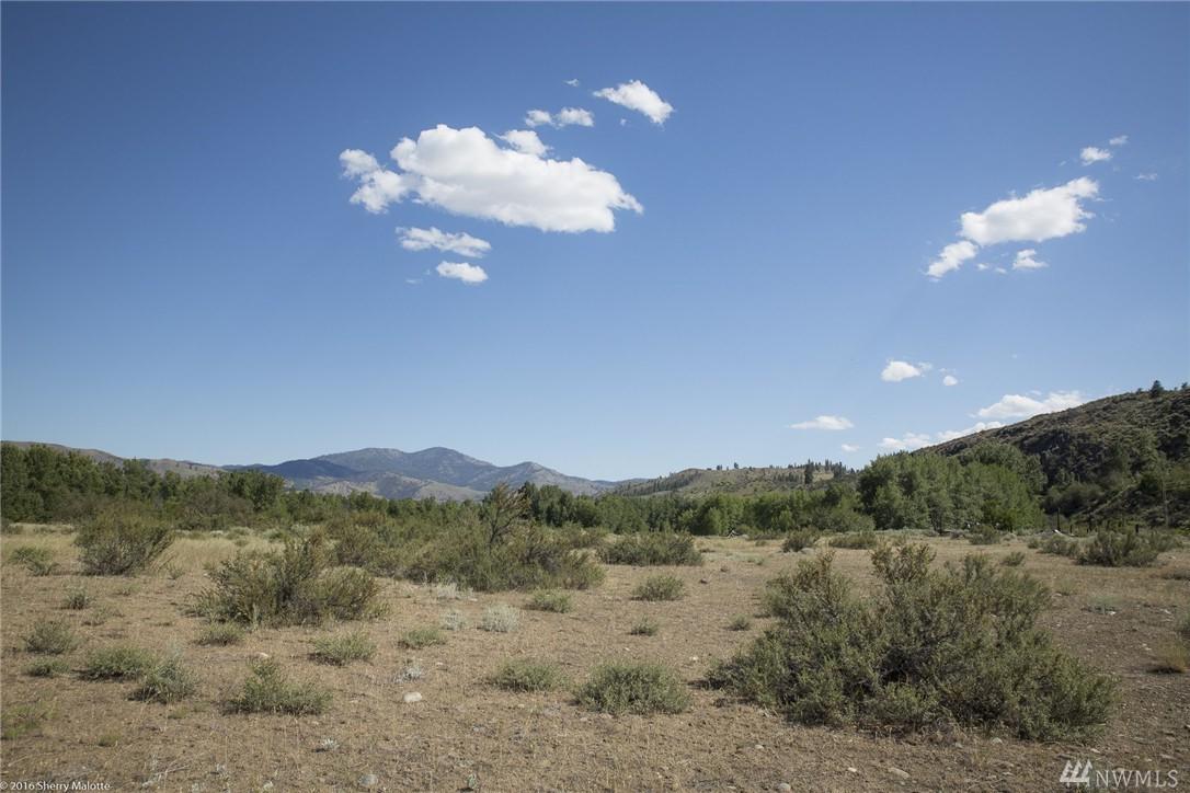 0-Lot 120 Twisp Carlton Rd - Photo 1