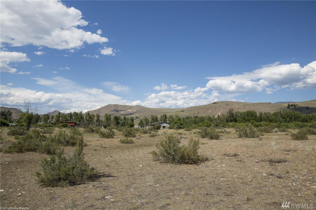 0-Lot 121 Twisp Carlton Rd - Photo 1