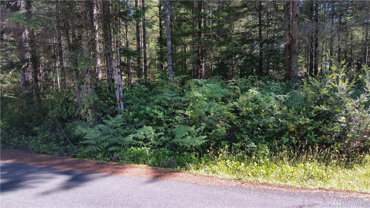 0-Lot 72 Susan Lane - Photo 1