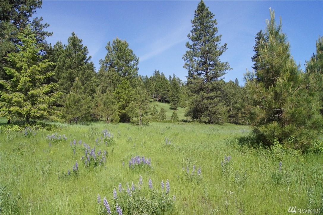 0-Tract A Curlew Lake Rd - Photo 1