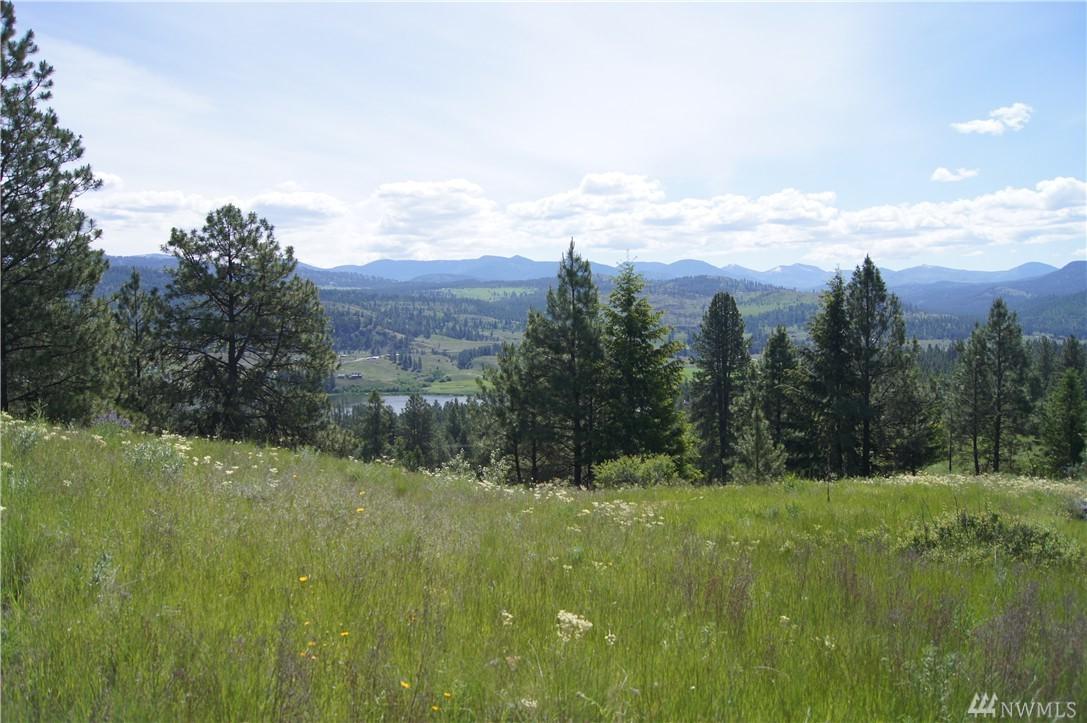 0-Tract C Curlew Lake Rd - Photo 1