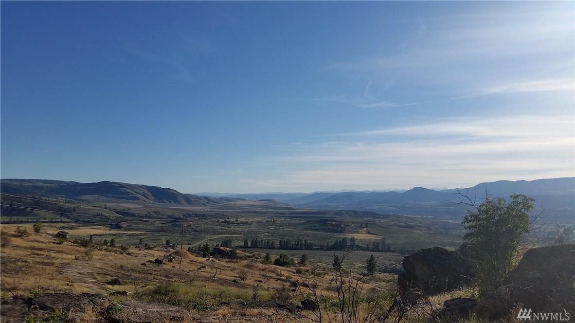 0 Omak Mountain Rd - Photo 1