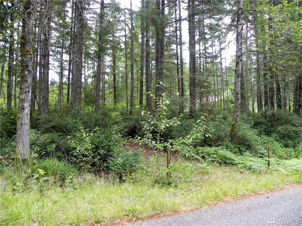 48-Lot Collins Lake Dr - Photo 1