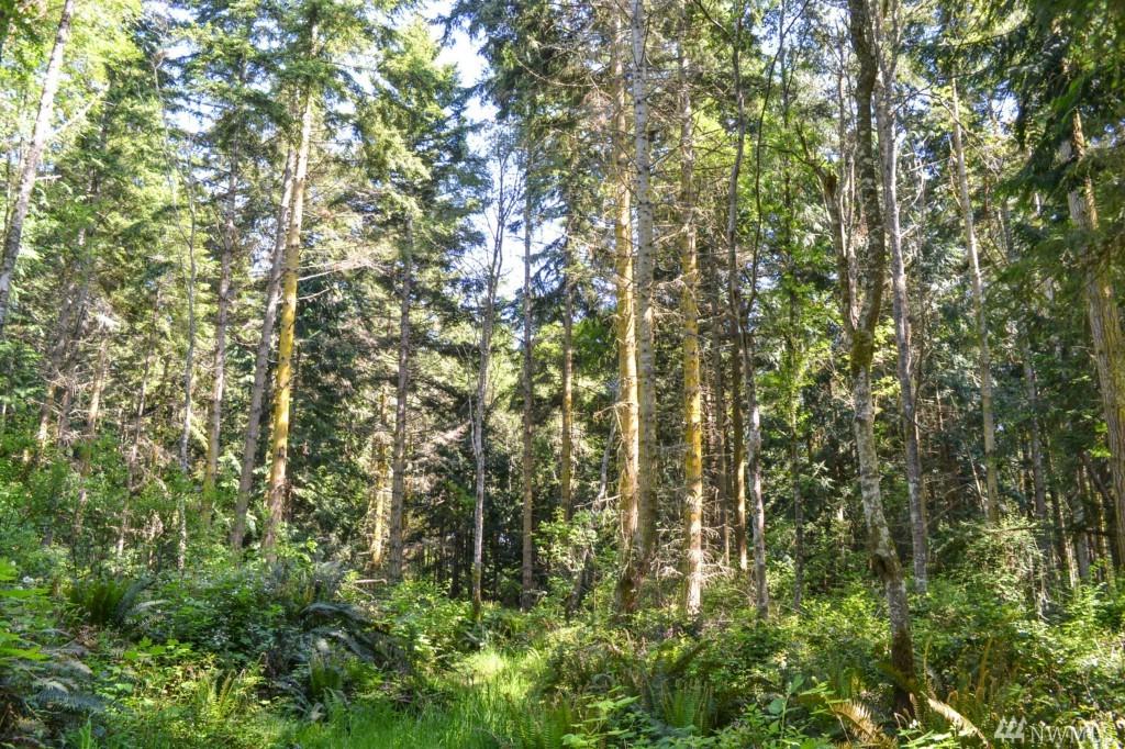 9998 Schwartz Rd - Photo 1