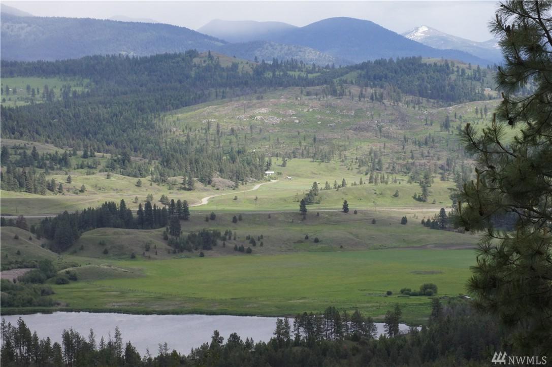 0-Tract E Curlew Lake Rd - Photo 1