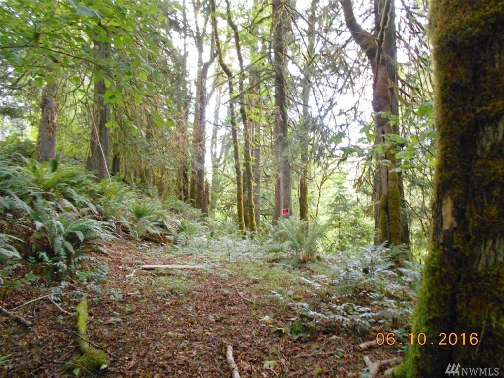 0 Ridge Rd - Photo 1
