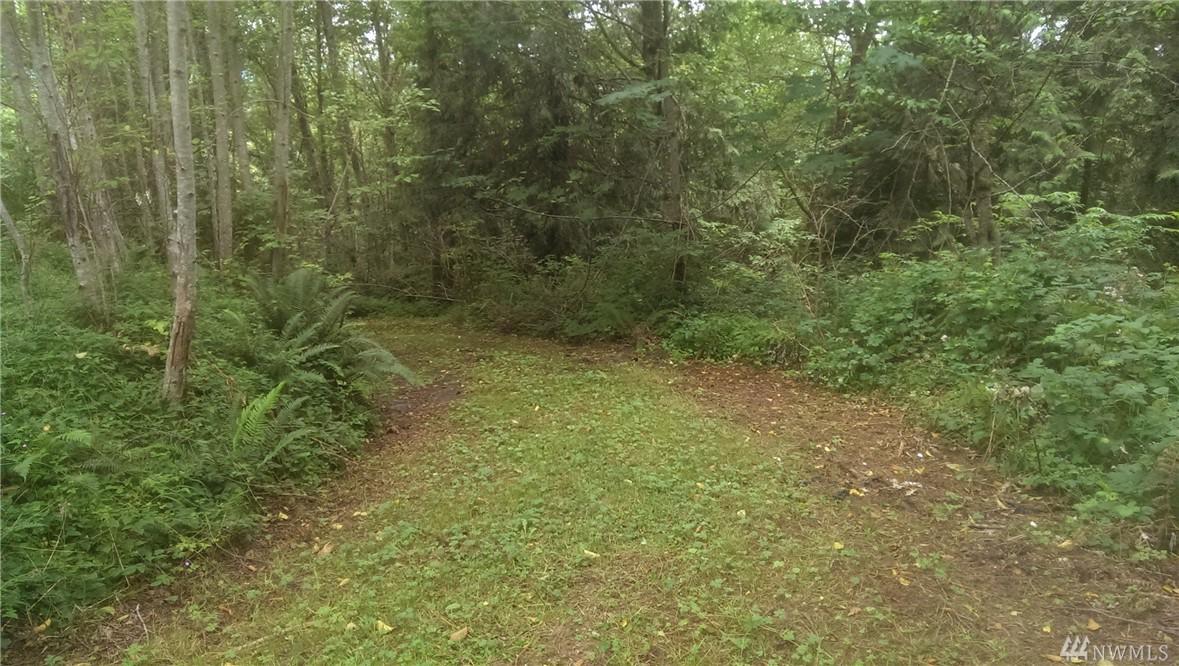 26100 Landsburg Rd - Photo 1