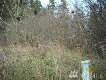 14617 Rainier View Dr - Photo 1