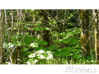 0 Balmer Lane - Photo 1
