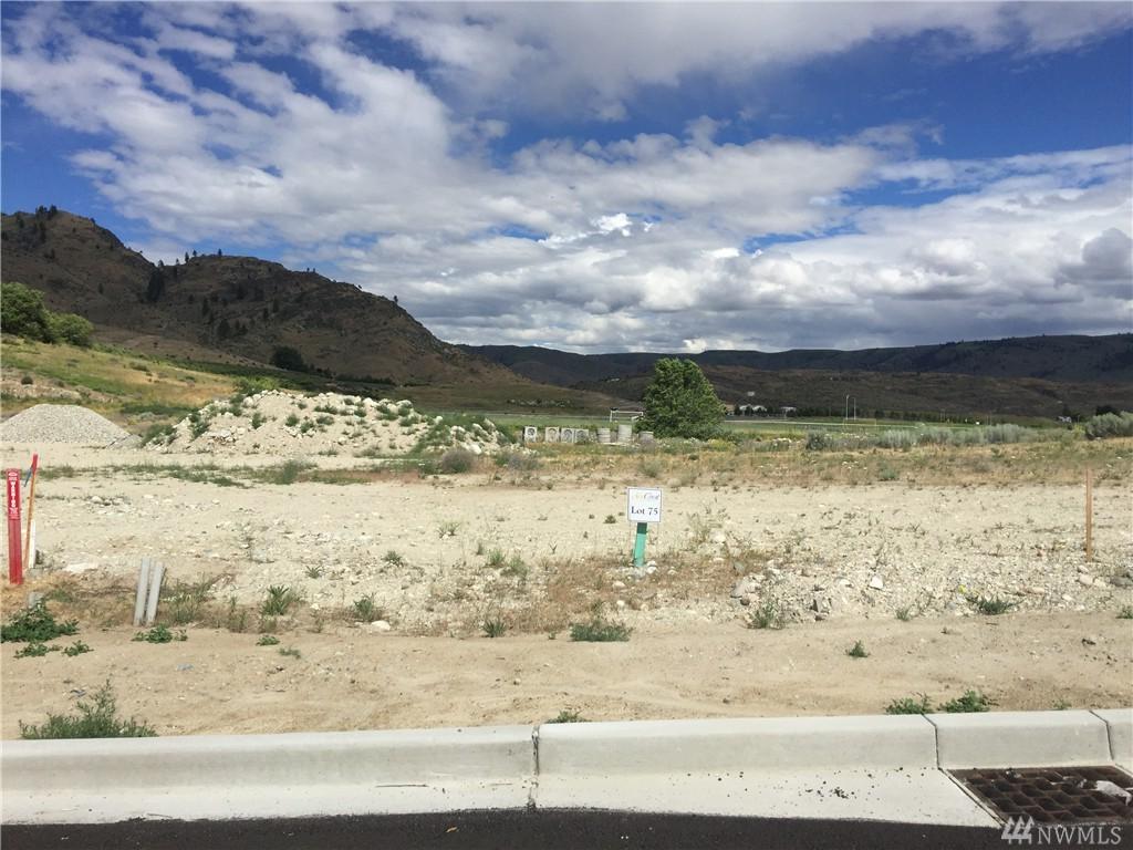 466 Spring View Place - Photo 1