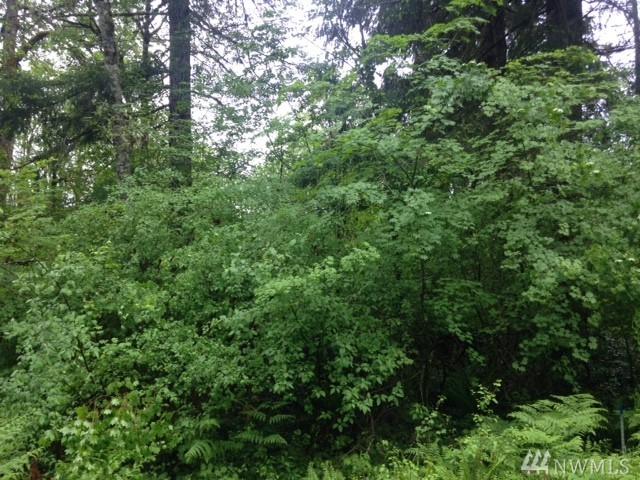 0 Lillie Dale Rd - Photo 1