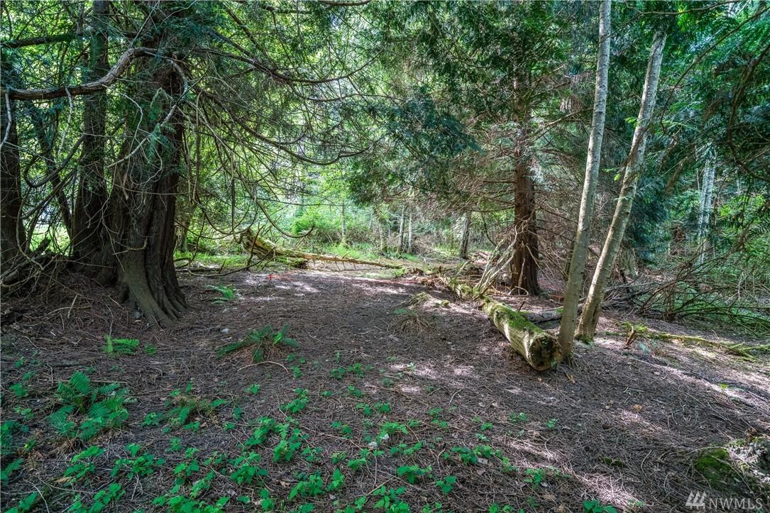 0 Coyote Lane - Photo 1