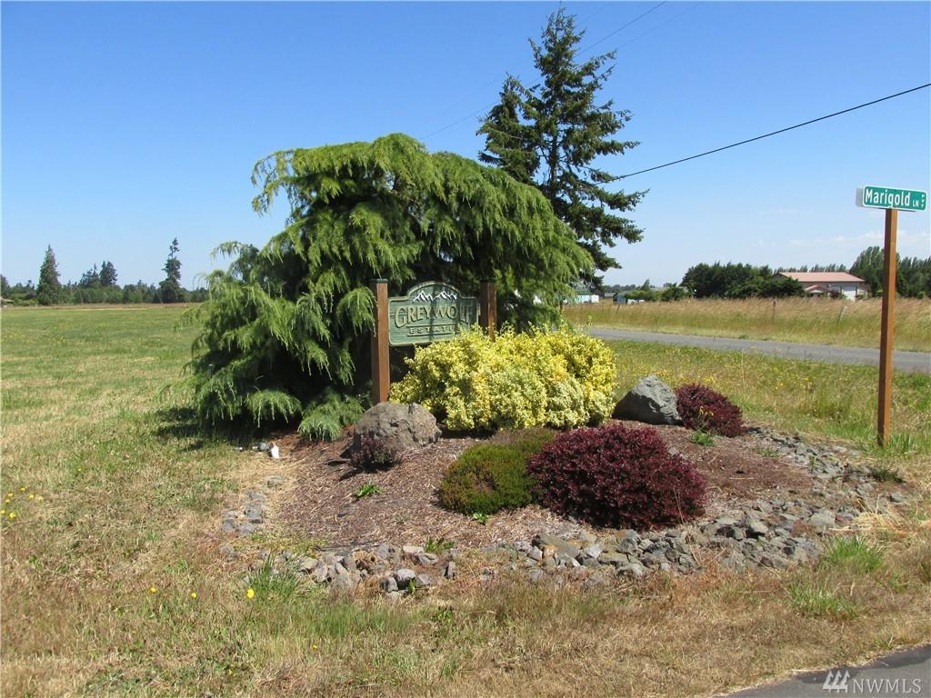 9999 Marigold Lane - Photo 1