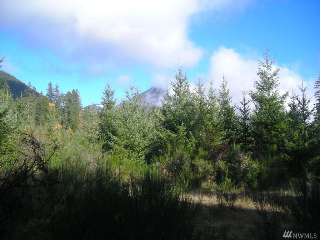 16-xx National Forest Rd - Photo 1