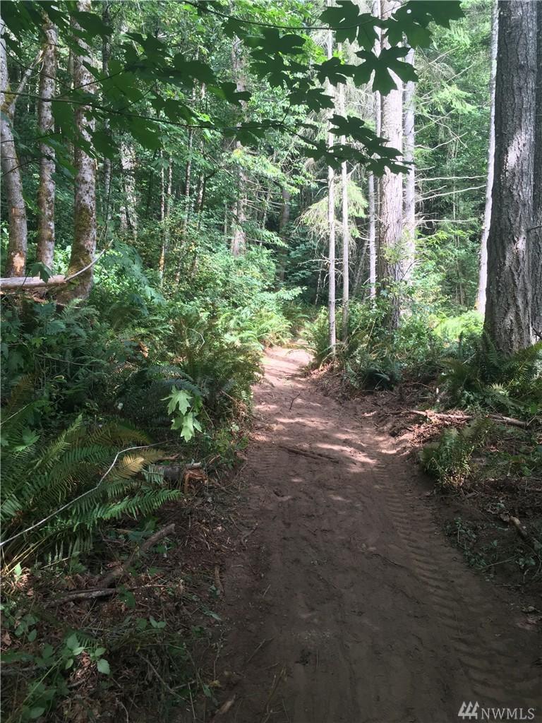 19 Big Valley Rd - Photo 1
