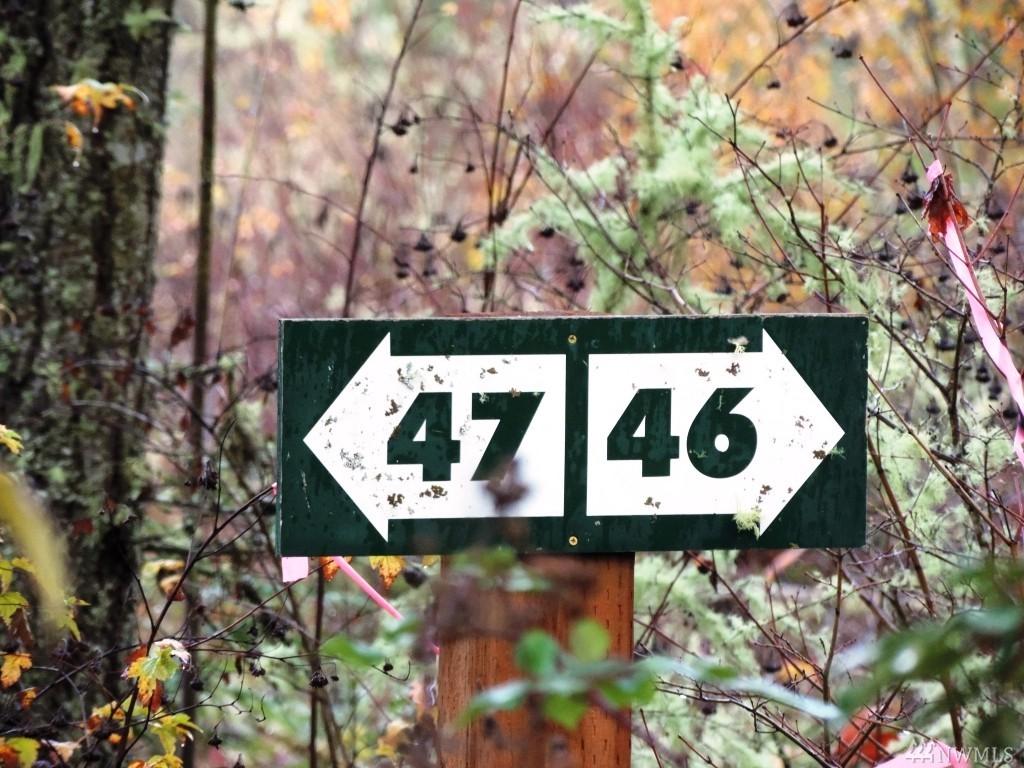 43710 Nisqually Ridge Dr - Photo 1