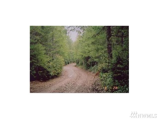 0-xx Mason Lake Road - Photo 1