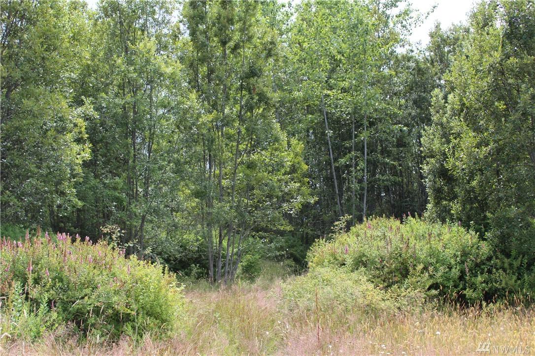 0 Devanny Lane - Photo 1