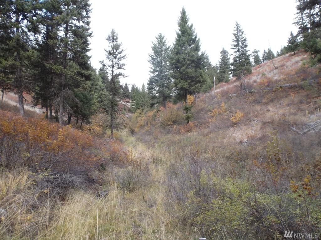 1111 Wellman Rd - Photo 1
